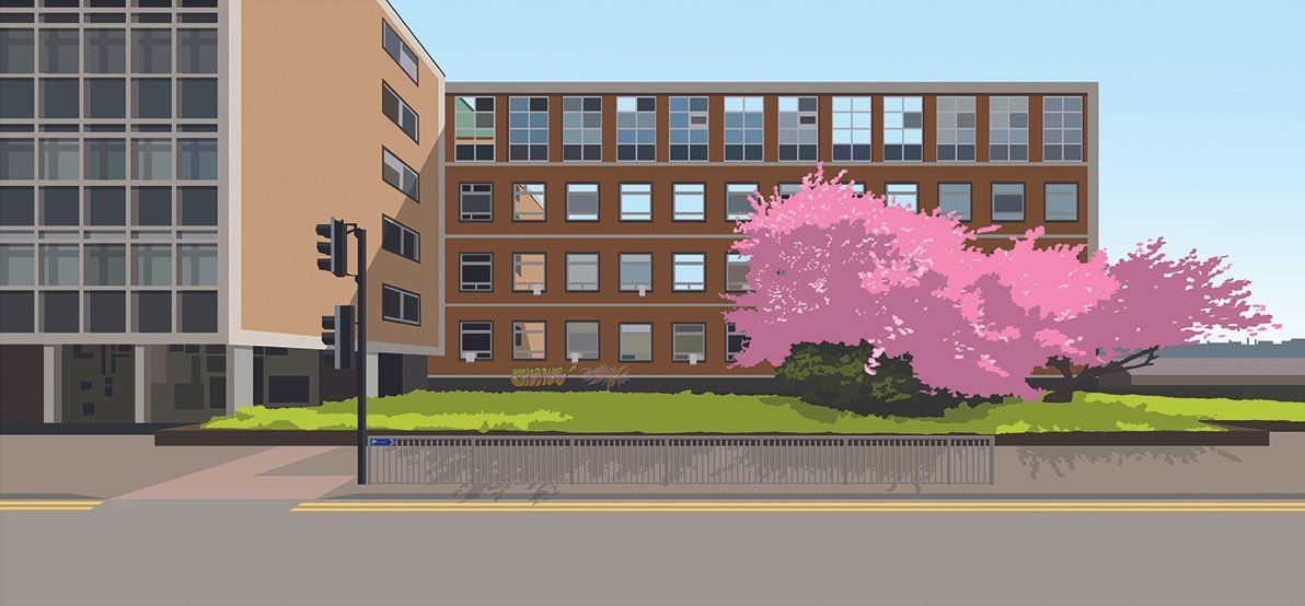 Cherry Blossom art print