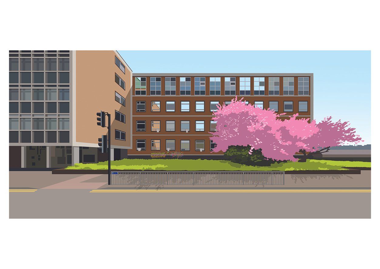 Cherry Blossom art print